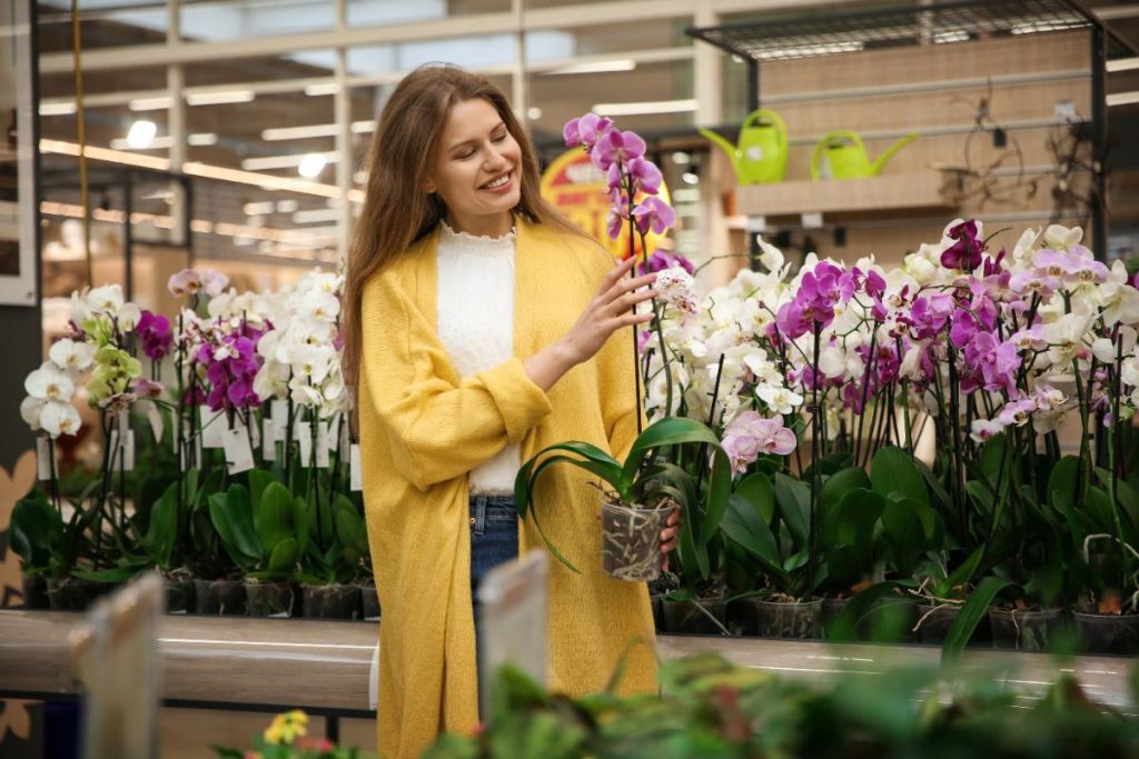 Une femme prenant une plante d'orchidées