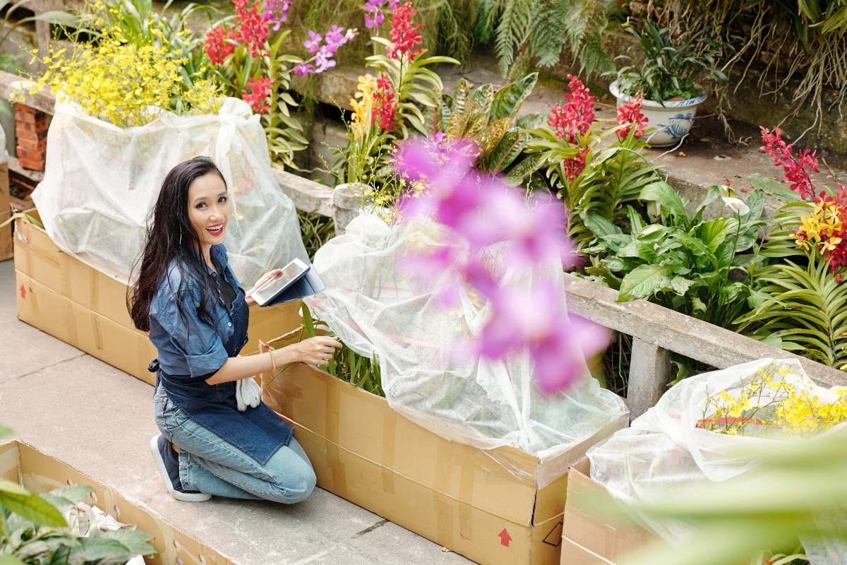 Peut-on planter plusieurs orchidées dans un grand bac ?